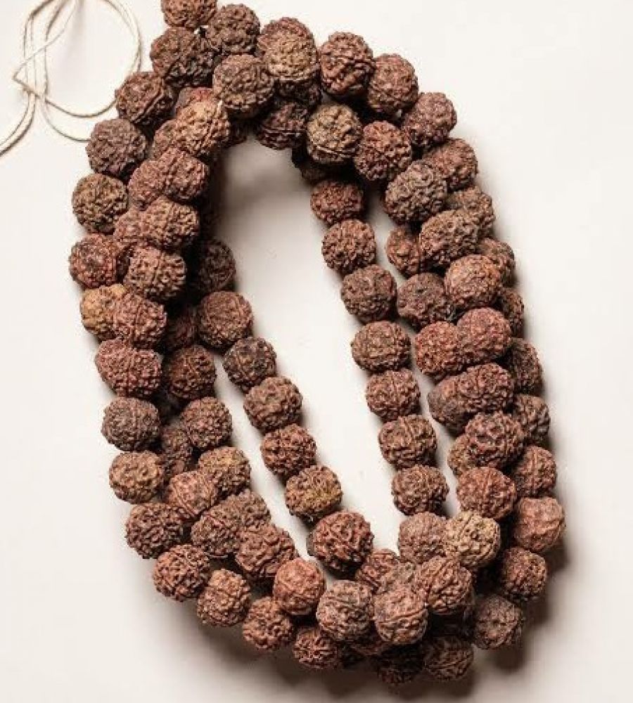 Rudraksha mala (large size)