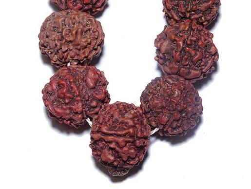 Rudraksha mala (large size)